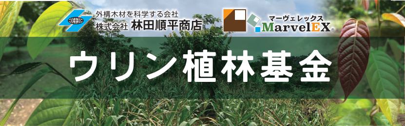 ウリン植林基金