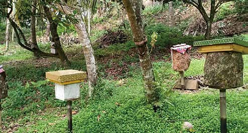 農地に置かれたハチミツ用の箱