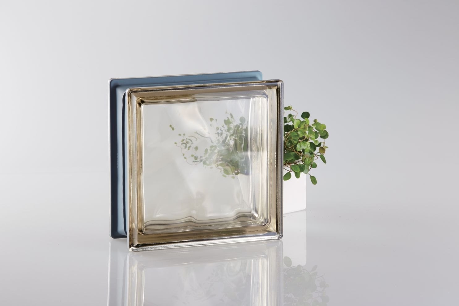 メタリックシリーズのガラスブロックと植栽のある商品写真