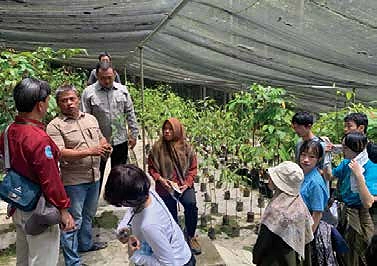 現地で植林について話し合う様子
