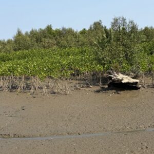 国際交流プログラム2026 in Indonesia 現地写真 27