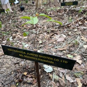 国際交流プログラム2026 in Indonesia 現地写真 23