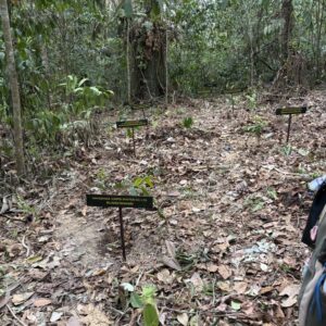 国際交流プログラム2026 in Indonesia 現地写真 21